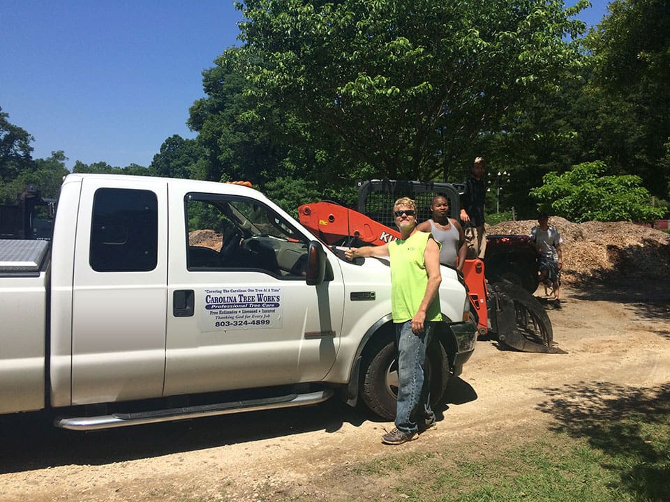 Tree Services